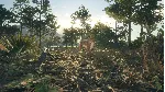 THEHUNTER: CALL OF THE WILD - RANCHO DEL ARROYO XBOX - irongamers.ru