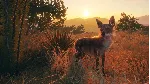 THEHUNTER: CALL OF THE WILD - RANCHO DEL ARROYO XBOX - irongamers.ru
