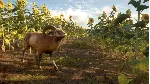 ❗ CALL OF THE WILD - CUATRO COLINAS GAME RESERVE🔑 XBOX
