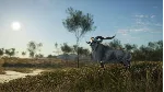 THEHUNTER: CALL OF THE WILD - AUSTRALIA XBOX КЛЮЧ - irongamers.ru