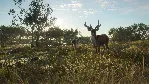 THEHUNTER: CALL OF THE WILD - AUSTRALIA XBOX КЛЮЧ - irongamers.ru