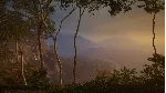 THEHUNTER: CALL OF THE WILD - AUSTRALIA XBOX КЛЮЧ - irongamers.ru