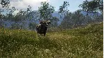 THEHUNTER: CALL OF THE WILD - AUSTRALIA XBOX КЛЮЧ - irongamers.ru