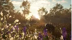 CALL OF THE WILD - MISSISSIPPI ACRES PRESER XBOX КЛЮЧ - irongamers.ru