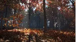 ❗ CALL OF THE WILD - NEW ENGLAND MOUNTAINS❗ XBOX КЛЮЧ❗ 