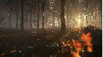 ❗ CALL OF THE WILD - NEW ENGLAND MOUNTAINS❗ XBOX КЛЮЧ❗ 