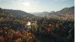❗ CALL OF THE WILD - NEW ENGLAND MOUNTAINS❗ XBOX КЛЮЧ❗ 