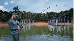❗ BASSMASTER FISHING 2022: LAKE HARTWELL❗ XBOX+ПК КЛЮЧ