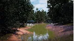 ❗ BASSMASTER FISHING 2022: LAKE HARTWELL❗ XBOX+ПК КЛЮЧ