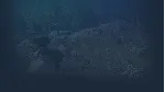 Korea Dynasty (조선메타실록) | Steam РУ+UA+KZ+СНГ - irongamers.ru