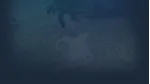 Garden of God | Steam РУ+UA+KZ+СНГ - irongamers.ru