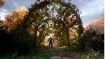 A Plague Tale: Innocence XBOX ONE SERIES X|S КЛЮЧ
