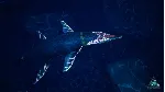 Beasts of Bermuda - Kronosaurus Supporter Warpaint - irongamers.ru