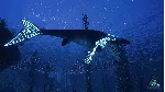 Beasts of Bermuda - Mosasaurus Supporter Warpaint DLC ДОПОЛНЕНИЕ STEAM РОССИЯ - irongamers.ru