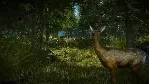 ✅ Ведьмак 2: Убийцы королей Расширенное издание⭐GOG\Key⭐