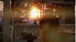 State of Decay Year-One Survival Edition XBOX Ключ