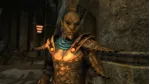 The Elder Scrolls V: Skyrim Anniversary Upgrade (STEAM)