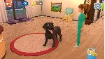 ANIMAL HOSPITAL XBOX ONE/X|S КЛЮЧ - irongamers.ru