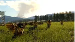 FINAL FANTASY XV WINDOWS EDITION (PC WIN) КЛЮЧ - irongamers.ru