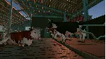 ❗ REAL FARM - PREMIUM EDITION❗ XBOX X|S🔑 КЛЮЧ❗ 