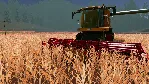 ❗ REAL FARM - PREMIUM EDITION❗ XBOX X|S🔑 КЛЮЧ❗ 