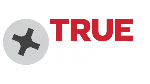 TRUE SKATE™ | Steam РУ+UA+KZ+СНГ - irongamers.ru