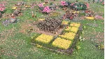 Age of Empires IV: The Sultans Ascend DLC - irongamers.ru