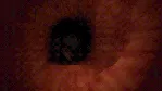 Revenge Of The Colon 💎 АВТОДОСТАВКА STEAM GLOBAL МГНОВЕННО ЛИЦЕНЗИЯ