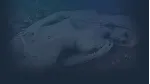 AMNESIA | Steam РУ+UA+KZ+СНГ - irongamers.ru