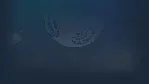 Zeitgeist | Steam РУ+UA+KZ+СНГ - irongamers.ru
