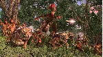 Total War: THREE KINGDOMS - The Furious Wild DLC
