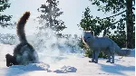 Planet Zoo: North America Animal Pack DLC * STEAM RU🔥 