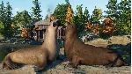 Planet Zoo: North America Animal Pack DLC * STEAM RU🔥 