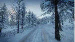 DiRT Rally 2.0 - Sweden (Rally Location) DLC - irongamers.ru