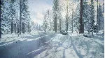 DiRT Rally 2.0 - Sweden (Rally Location) DLC - irongamers.ru