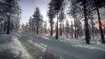 DiRT Rally 2.0 - Sweden (Rally Location) DLC - irongamers.ru