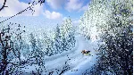 DiRT Rally 2.0 - ŠKODA Fabia Rally DLC * STEAM RU🔥 