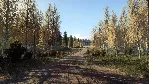 DiRT Rally 2.0 - Finland (Rally Location) DLC - irongamers.ru