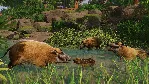 Planet Zoo: Tropical Pack DLC * STEAM🔥 АВТОДОСТАВКА