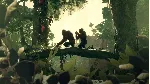 Ancestors The Humankind Odyssey XBOX Ключ