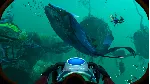 Subnautica: Below Zero Xbox КЛЮЧ X/S ONE KEY