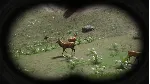 🔥 Russian Hunter🔑 [STEAM ключ 465₽]🌍 [ЛЮБОЙ РЕГИОН]🌍 