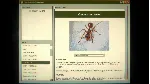 Home Safety Hotline * STEAM RU АВТО 0% - irongamers.ru