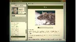Home Safety Hotline (Steam Gift Россия) - irongamers.ru