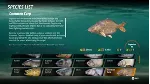 The Catch Carp & Coarse Fishing XBOX Ключ