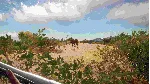 THEHUNTER CALL OF THE WILD™ - HUNTER POWER PACK XBOX - irongamers.ru