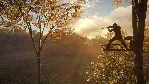THEHUNTER: CALL OF THE WILD TREESTAND+TRIPOD PACK XBOX - irongamers.ru
