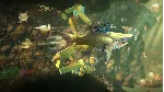 Hungry Shark® World Xbox One & Xbox Series X/S KEY