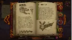 The Witch&acute;s Cauldron | АВТОДОСТАВКА [Россия Gift] - irongamers.ru