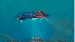Verne: The Shape of Fantasy (Steam ключ / РФ+Весь Мир)